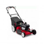 Briggs & Stratton 7.5hp 20"garden Lawn Mower With Complete Bag