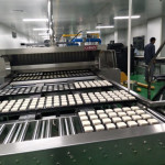 professional baking production line Tunnel Oven